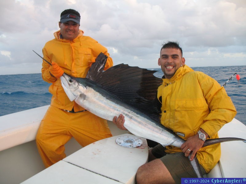 Sailfish