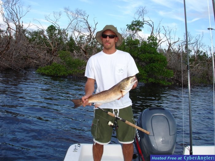 31inRedfish