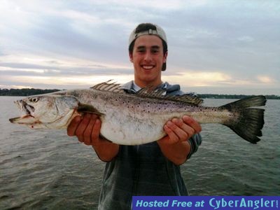 Click to Enlarge Photo