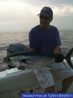 Another Blackfin Tuna