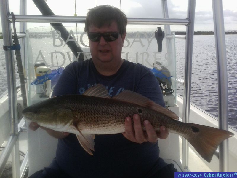 Click to Enlarge Photo