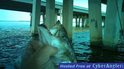 Jacksonville fishing