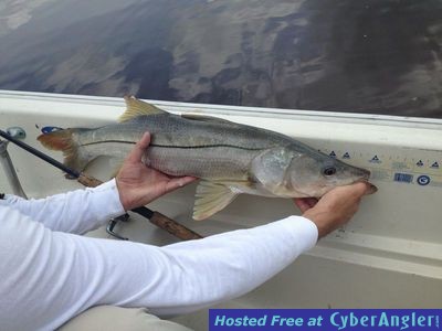 Click to Enlarge Photo