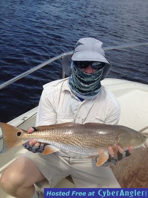 Click to Enlarge Photo