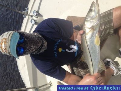 Click to Enlarge Photo