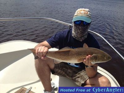 Click to Enlarge Photo