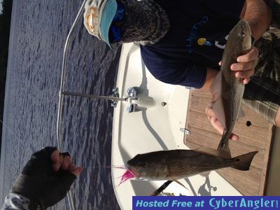 Click to Enlarge Photo