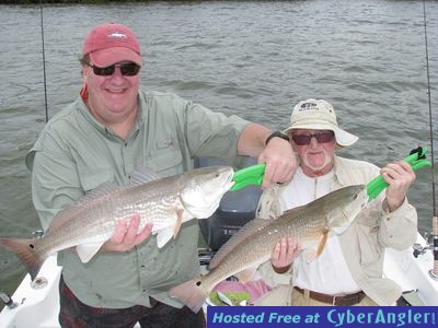 Tampa Bay Redfish