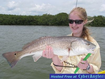 Tampa Bay Redfish