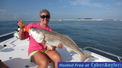 30&quot; Redfish