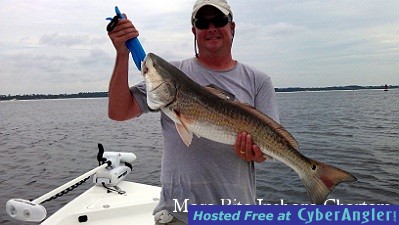 Redfish