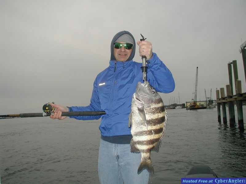 sheepshead