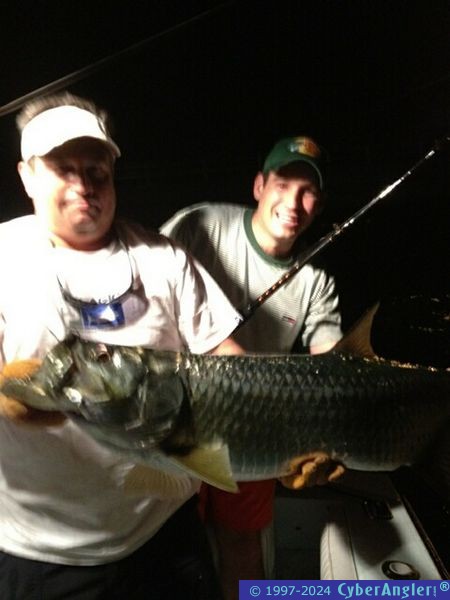 Tarpon