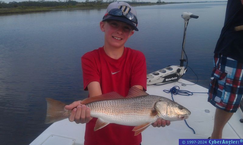 Click to Enlarge Photo