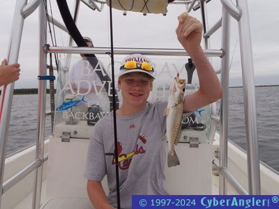 Click to Enlarge Photo