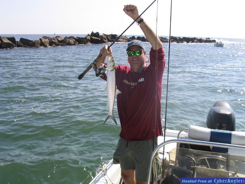 ladyfish