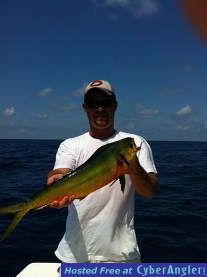 Mahi/Dolphin offshore of Johns Pass area of st pete FL