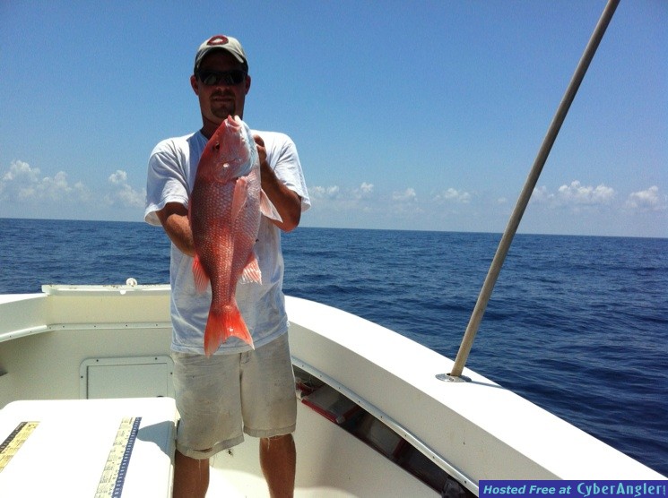 American Red Snapper wih Bent Charters