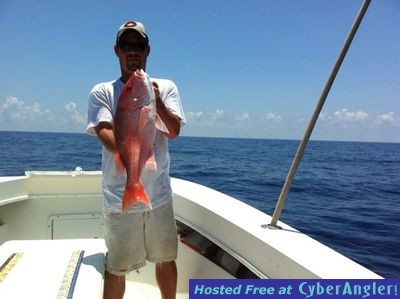 American Red Snapper wih Bent Charters