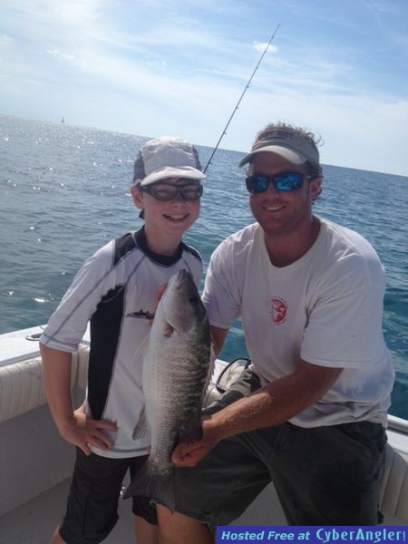 mangrove_snapper_florida_keys