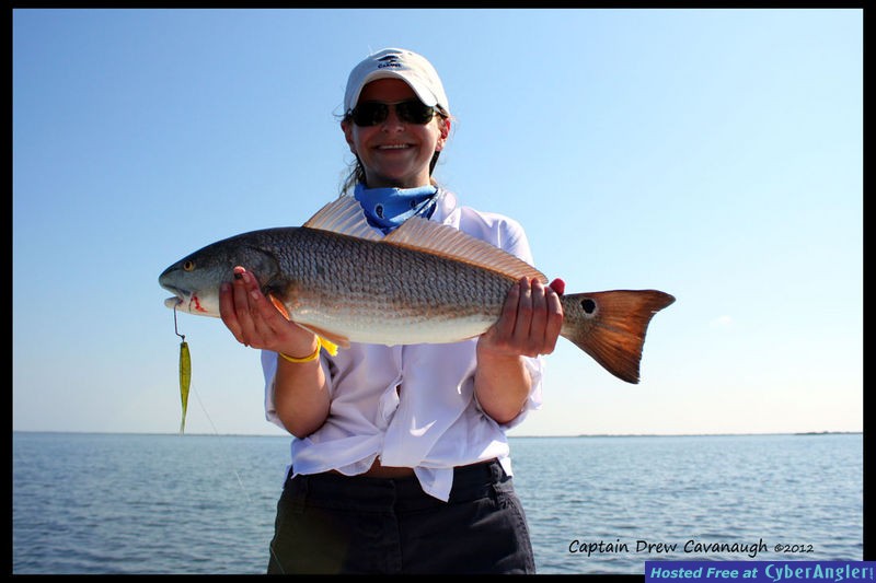 Mosquito Lagoon Fish