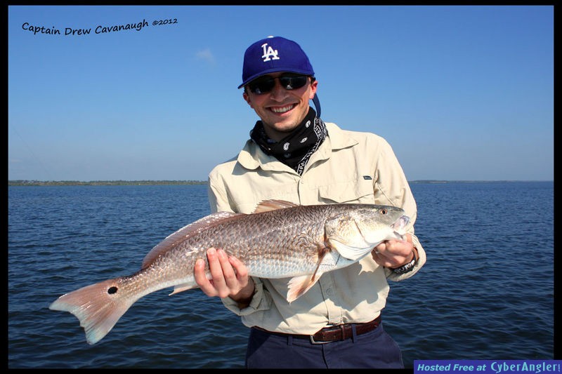 Mosquito Lagoon Fish