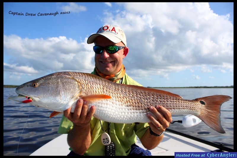 Mosquito Lagoon Fish