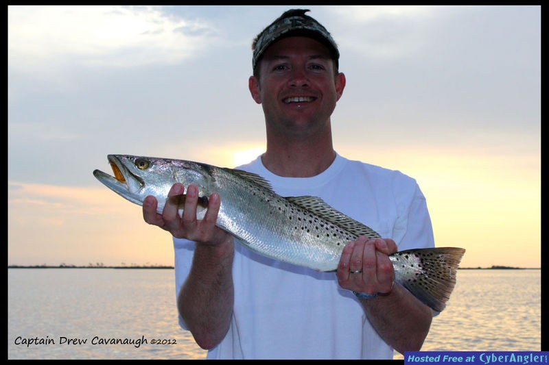 Mosquito Lagoon Fish