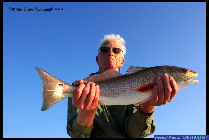 Mosquito Lagoon Fish