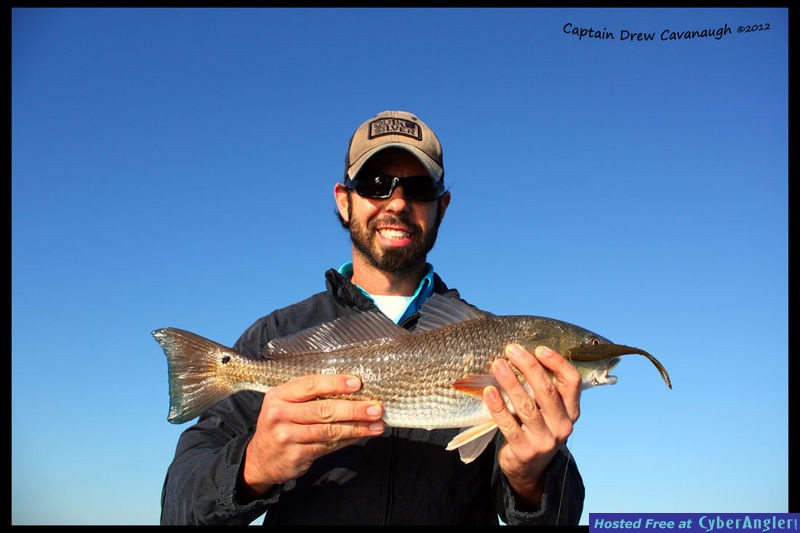 Mosquito Lagoon Fish