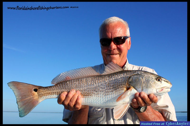 Mosquito Lagoon Fish