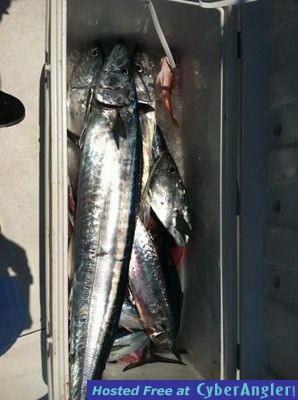 Click to Enlarge Photo