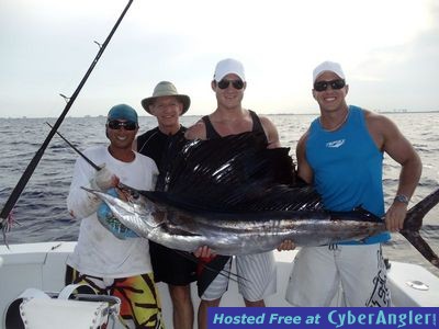 cuda_sailfish_t-head_3_