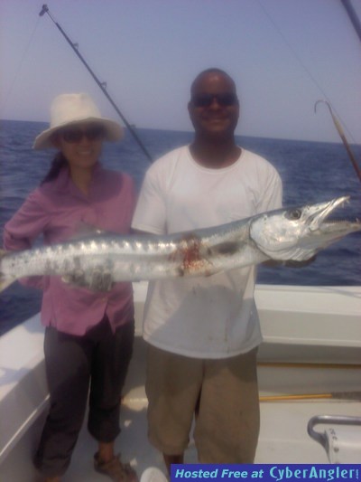 barracuda joy