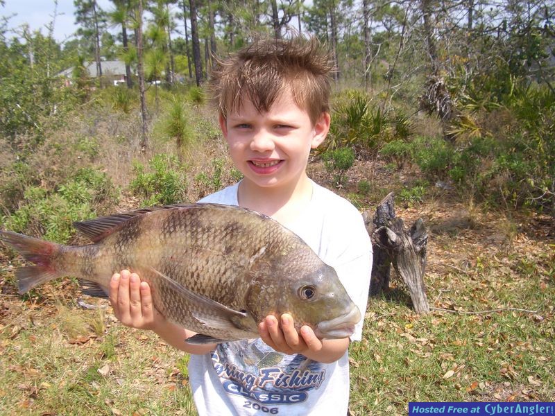 Douglas &amp; his biggest Sheephead