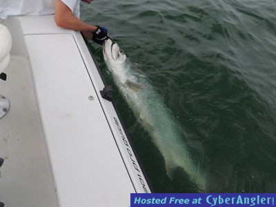 Click to Enlarge Photo