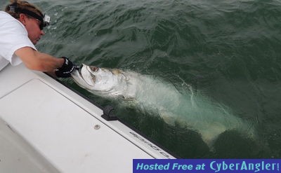 Click to Enlarge Photo