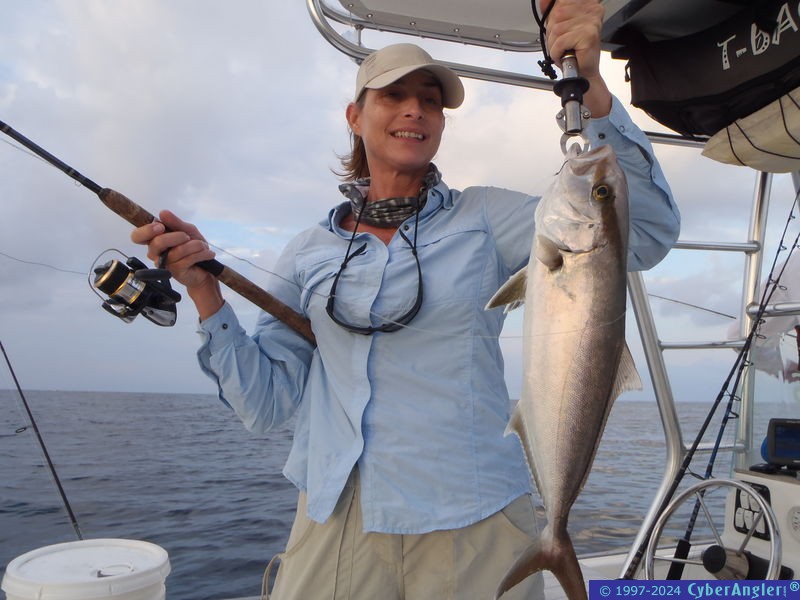fish_0212