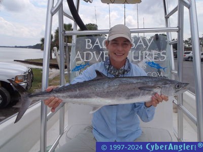 Click to Enlarge Photo