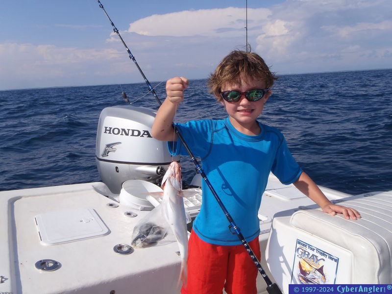 Click to Enlarge Photo