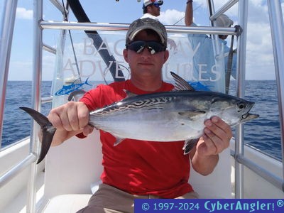 Click to Enlarge Photo