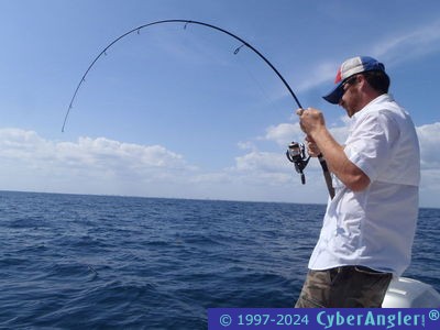 Click to Enlarge Photo