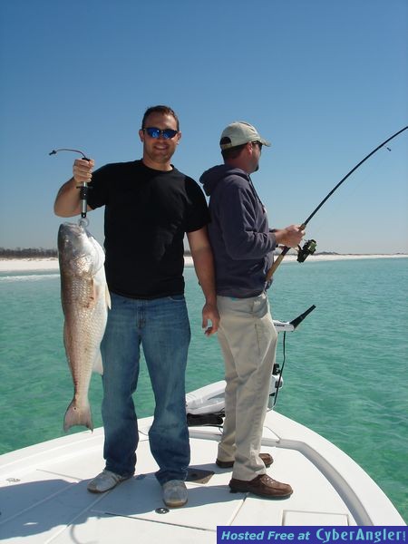 Nice Red Fish,