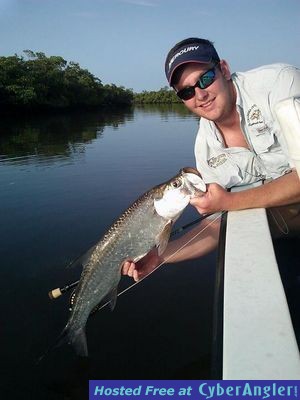 Click to Enlarge Photo