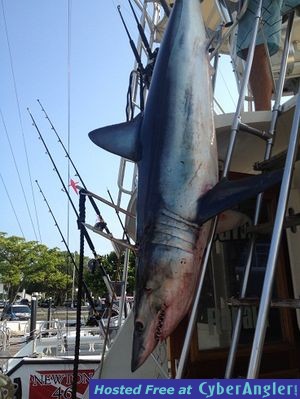 Click to Enlarge Photo