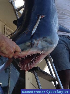 Click to Enlarge Photo