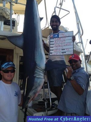 Click to Enlarge Photo