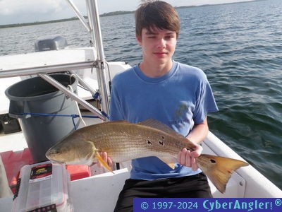 Click to Enlarge Photo