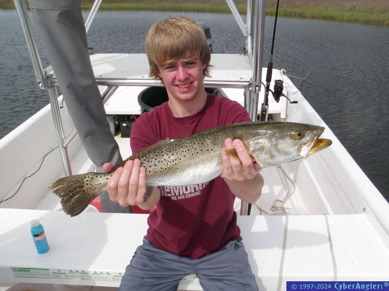 Click to Enlarge Photo