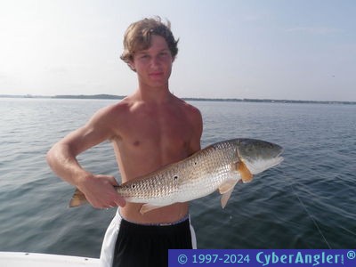 Click to Enlarge Photo